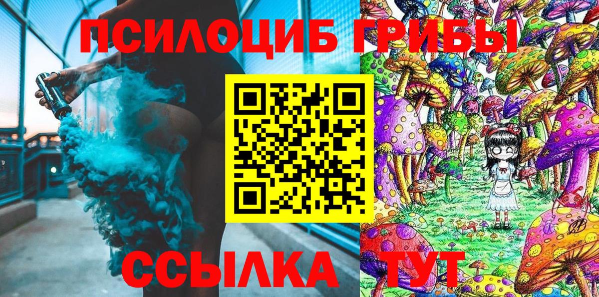 Галлюциногенные грибы Psilocybe Воскресенск