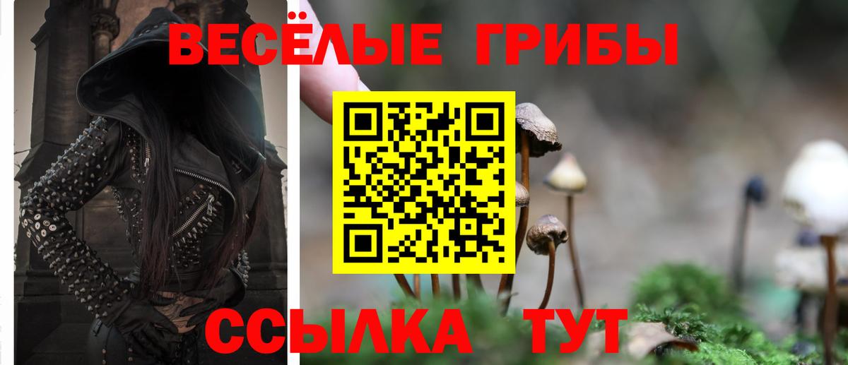 Галлюциногенные грибы Psilocybe  Галлюциногенные грибы MAGIC MUSHROOMS  Воскресенск  Вход с VPN 